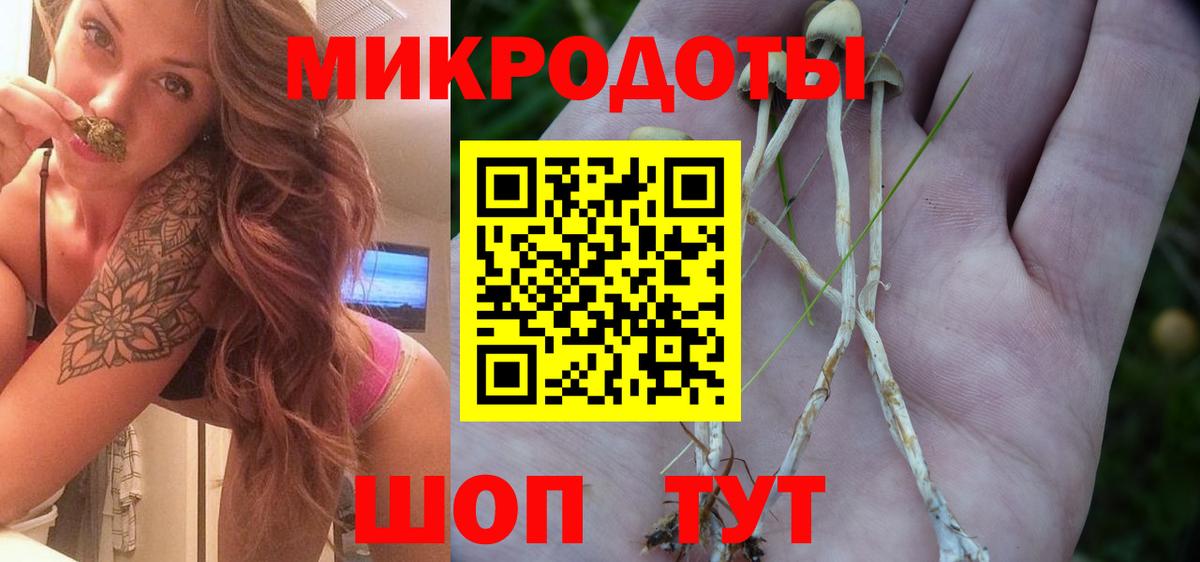 Псилоцибиновые грибы прущие грибы Прохладный